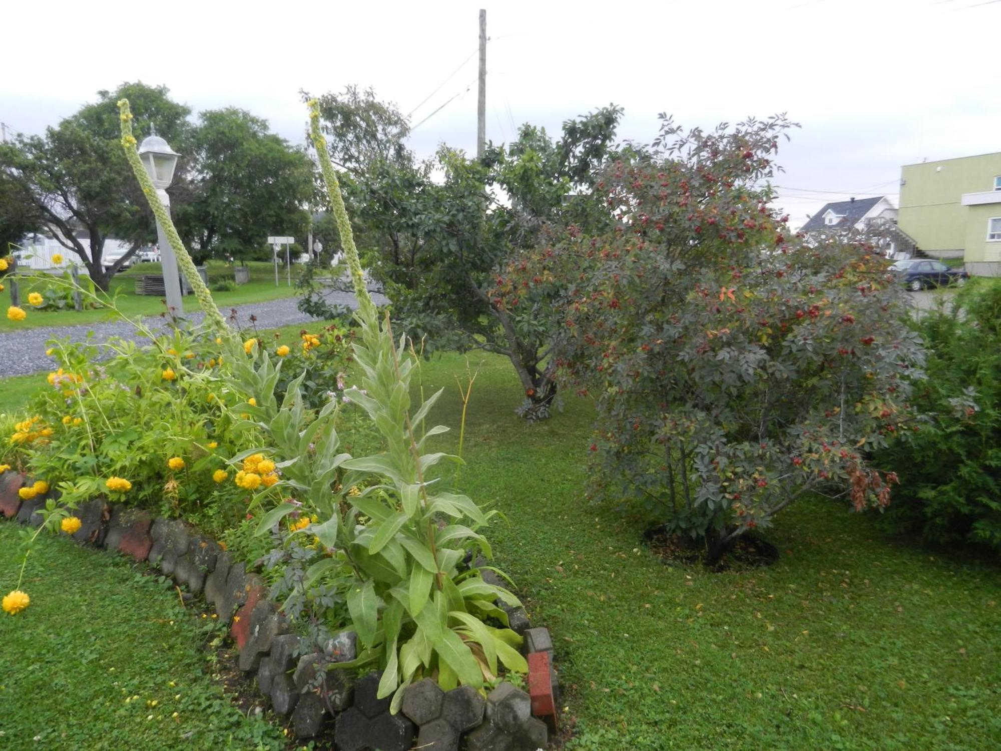 Gite La Ptite Falaise Hebergement Touristique Sainte Anne-des-Chênes Kamer foto