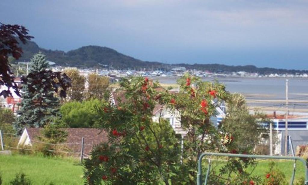 Gite La Ptite Falaise Hebergement Touristique Sainte Anne-des-Chênes Buitenkant foto